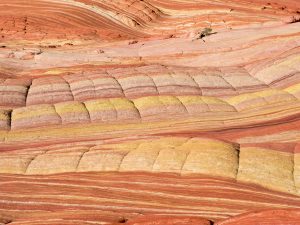 Sandstone-Stripes-Coyote-Buttes-North-Paria-Canyon-Vermilion-Cliffs-Wilderness-Arizona-11-300x225 Sandstone Stripes