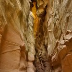 Bull-Valley-Gorge-Skutumpah-Road-Grand-Staircase-Escalante-National-Monument-Utah-18 Bull Valley Gorge