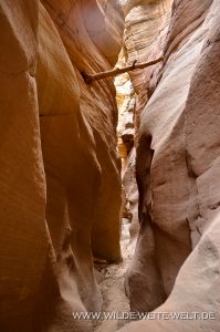 Bull-Valley-Gorge-Skutumpah-Road-Grand-Staircase-Escalante-National-Monument-Utah-46-199x300 Bull Valley Gorge