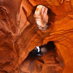 Fence-Canyon-Hole-in-the-Rock-Road-Grand-Staircase-Escalante-National-Monument-Utah Neon Canyon [Golden Cathedral]