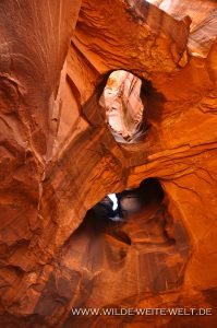 Golden-Cathedral-Neon-Canyon-Hole-in-the-Rock-Road-Grand-Staircase-Escalante-National-Monument-Utah-16-199x300 Golden Cathedral