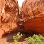 Fence-Canyon-Hole-in-the-Rock-Road-Grand-Staircase-Escalante-National-Monument-Utah Neon Canyon [Golden Cathedral]