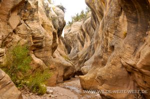 Willis-Creek-Skutumpah-Road-Grand-Staircase-Escalante-National-Monument-Utah-12-300x199 Willis Creek