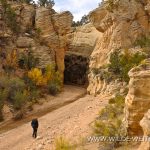 Willis-Creek-Skutumpah-Road-Grand-Staircase-Escalante-National-Monument-Utah-12 Willis Creek und Temple Arch