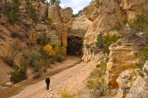 Willis-Creek-Skutumpah-Road-Grand-Staircase-Escalante-National-Monument-Utah-18-300x199 Willis Creek