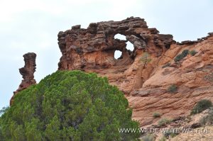Double-Barrel-Arch-Vermilion-Cliffs-National-Monument-Arizona-300x199 Double Barrel Arch