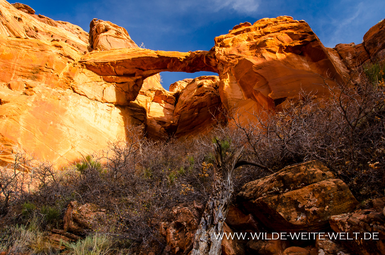 Vermilion Arch - Vermilion Cliffs National Monument, Arizona
