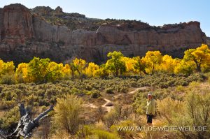 Autumn-Color-Escalante-Canyon-Grand-Staircase-Escalante-National-Monument-Utah-11-300x199 Autumn Color