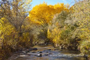 Autumn-Color-Escalante-Canyon-Grand-Staircase-Escalante-National-Monument-Utah-13-300x199 Autumn Color
