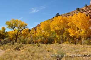 Autumn-Color-Escalante-Canyon-Grand-Staircase-Escalante-National-Monument-Utah-300x199 Autumn Color