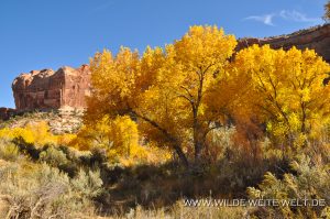 Autumn-Color-Escalante-Canyon-Grand-Staircase-Escalante-National-Monument-Utah-6-300x199 Autumn Color