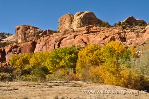 Autumn-Color-Escalante-Canyon-Grand-Staircase-Escalante-National-Monument-Utah-7-300x199 Autumn Color
