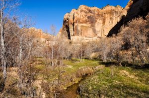 Calf-Creek-Canyon-Grand-Staircase-Escalante-National-Monument-Utah-300x199 Calf Creek Canyon