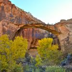 Escalante-Natural-Bridge-Grand-Staircase-Escalante-National-Monument-Utah-2 Escalante Natural Bridge [Escalante Canyon]