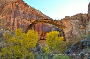 Escalante-Natural-Bridge-Grand-Staircase-Escalante-National-Monument-Utah-3-300x199 Escalante Natural Bridge