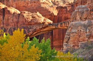Escalante-Natural-Bridge-Grand-Staircase-Escalante-National-Monument-Utah-9-300x199 Escalante Natural Bridge