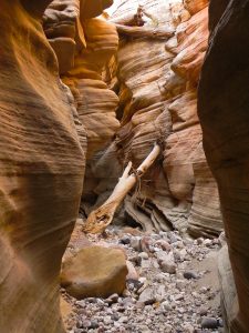 Round-Valley-Draw-Grand-Staircase-Escalante-National-Monument-Utah-113-225x300 Round Valley Draw