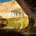 Upper-Calf-Creek-Falls-Grand-Staircase-Escalante-National-Monument-Utah-2 Upper Calf Creek Falls