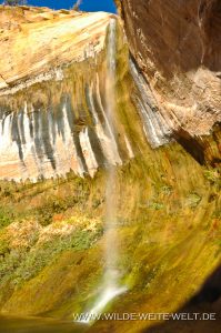 Upper-Calf-Creek-Falls-Grand-Staircase-Escalante-National-Monument-Utah-4-199x300 Upper Calf Creek Falls