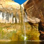 Upper-Calf-Creek-Falls-Grand-Staircase-Escalante-National-Monument-Utah-2 Upper Calf Creek Falls