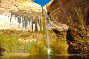 Upper-Calf-Creek-Falls-Grand-Staircase-Escalante-National-Monument-Utah-6-300x199 Upper Calf Creek Falls