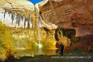 Upper-Calf-Creek-Falls-Grand-Staircase-Escalante-National-Monument-Utah-7-300x199 Upper Calf Creek Falls