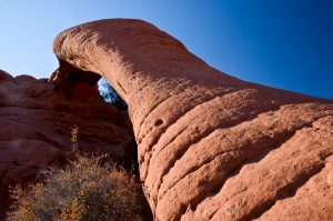 Cobra-Arch-Paria-Canyon-Vermilion-Cliffs-Wilderness-Utah-10-300x199 Cobra Arch