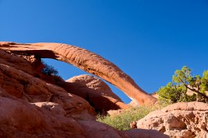 Cobra-Arch-Paria-Canyon-Vermilion-Cliffs-Wilderness-Utah-300x199 Cobra Arch