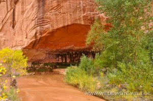 Coyote-Gulch-Hole-in-the-Rock-Road-Grand-Staircase-Escalante-National-Monument-Utah-19-300x199 Coyote Gulch