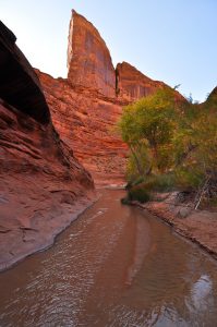 Coyote-Gulch-Hole-in-the-Rock-Road-Grand-Staircase-Escalante-National-Monument-Utah-2-199x300 Coyote Gulch