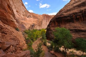 Coyote-Gulch-Hole-in-the-Rock-Road-Grand-Staircase-Escalante-National-Monument-Utah-30-300x199 Coyote Gulch