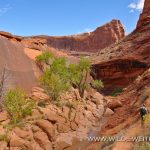 Crack-in-the-Wall-Coyote-Gulch-Hole-in-the-Rock-Road-Grand-Staircase-Escalante-National-Monument-Utah-3 Coyote Gulch