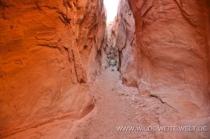 Dry-Fork-Coyote-Gulch-Hole-in-the-Rock-Road-Grand-Staircase-Escalante-National-Monument-Utah-3-300x199 Dry Fork Coyote Gulch