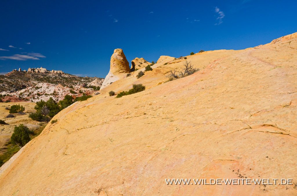 Red-Top-Grand-Staircase-Escalante-National-Monument-Cottonwood-Canyon-Road-Utah-34 Red Top