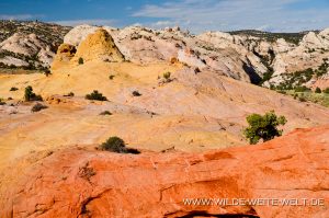 Red-Top-Grand-Staircase-Escalante-National-Monument-Cottonwood-Canyon-Road-Utah-34-300x199 Red Top