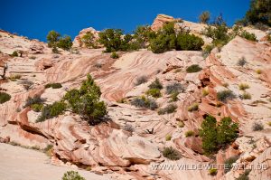 Red-Top-Grand-Staircase-Escalante-National-Monument-Cottonwood-Canyon-Road-Utah-5-300x199 Red Top