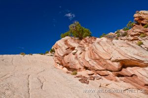 Red-Top-Grand-Staircase-Escalante-National-Monument-Cottonwood-Canyon-Road-Utah-7-300x199 Red Top