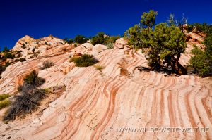 Red-Top-Grand-Staircase-Escalante-National-Monument-Cottonwood-Canyon-Road-Utah-9-300x199 Red Top