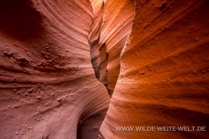 Spooky-Slot-Canyon-Hole-in-the-Rock-Road-Grand-Staircase-Escalante-National-Monument-Utah-5-300x200 Spooky Slot Canyon