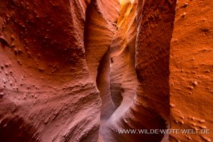 Spooky-Slot-Canyon-Hole-in-the-Rock-Road-Grand-Staircase-Escalante-National-Monument-Utah-6-300x200 Spooky Slot Canyon