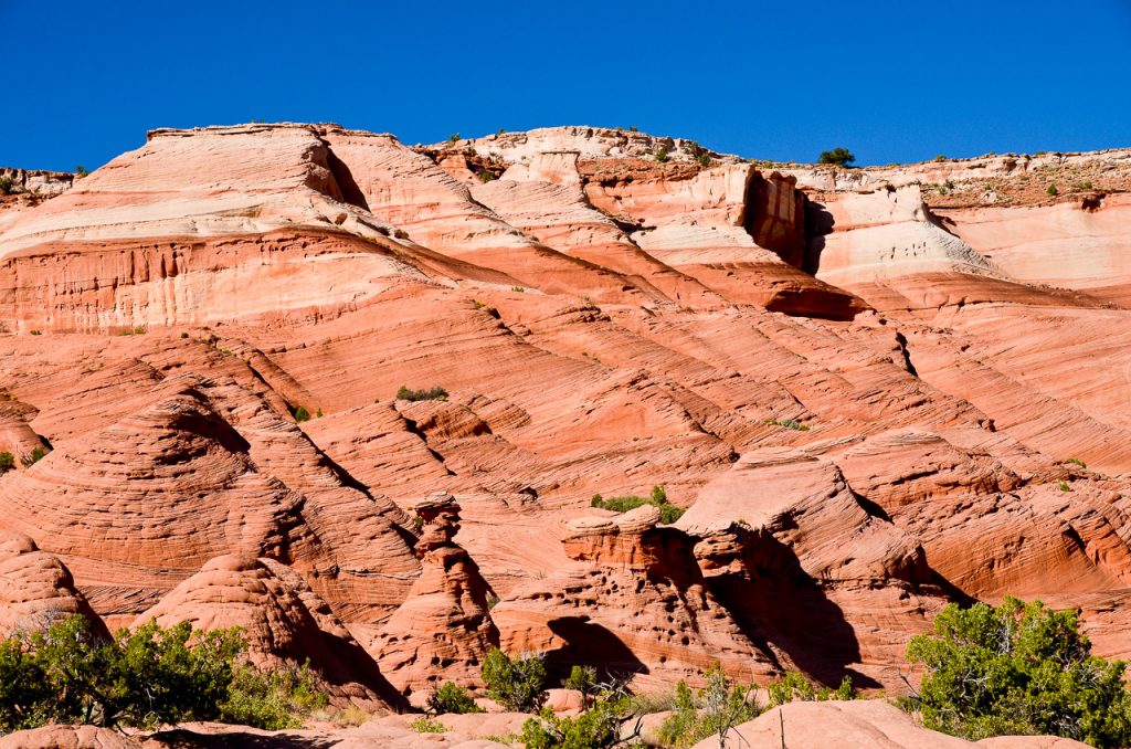Balancing-Rocks-am-Abstieg-über-The-Dive-Paria-Canyon-Vermilion-Cliffs-Wilderness-Utah Cobra Arch