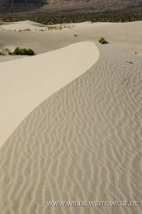 Saline-Valley-Sand-Dunes-Saline-Valley-Death-Valley-Nationalpark-Californien-100-199x300 Saline Valley Sand Dunes