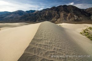 Saline-Valley-Sand-Dunes-Saline-Valley-Death-Valley-Nationalpark-Californien-104-300x200 Saline Valley Sand Dunes