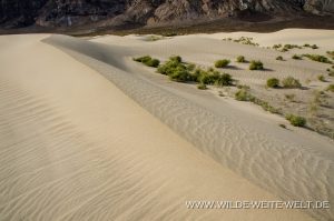 Saline-Valley-Sand-Dunes-Saline-Valley-Death-Valley-Nationalpark-Californien-107-300x199 Saline Valley Sand Dunes