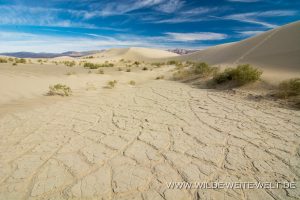Saline-Valley-Sand-Dunes-Saline-Valley-Death-Valley-Nationalpark-Californien-113-300x200 Saline Valley Sand Dunes