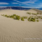 Saline-Valley-Sand-Dunes-Saline-Valley-Death-Valley-Nationalpark-Californien-56 Saline Valley Dunes [Death Valley National Park]
