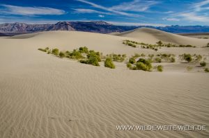 Saline-Valley-Sand-Dunes-Saline-Valley-Death-Valley-Nationalpark-Californien-114-300x199 Saline Valley Sand Dunes