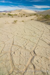 Saline-Valley-Sand-Dunes-Saline-Valley-Death-Valley-Nationalpark-Californien-115-200x300 Saline Valley Sand Dunes
