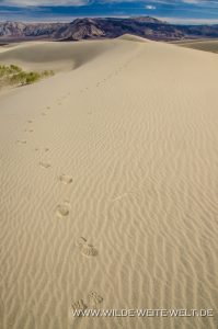 Saline-Valley-Sand-Dunes-Saline-Valley-Death-Valley-Nationalpark-Californien-120-199x300 Saline Valley Sand Dunes