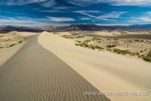 Saline-Valley-Sand-Dunes-Saline-Valley-Death-Valley-Nationalpark-Californien-122-300x200 Saline Valley Sand Dunes